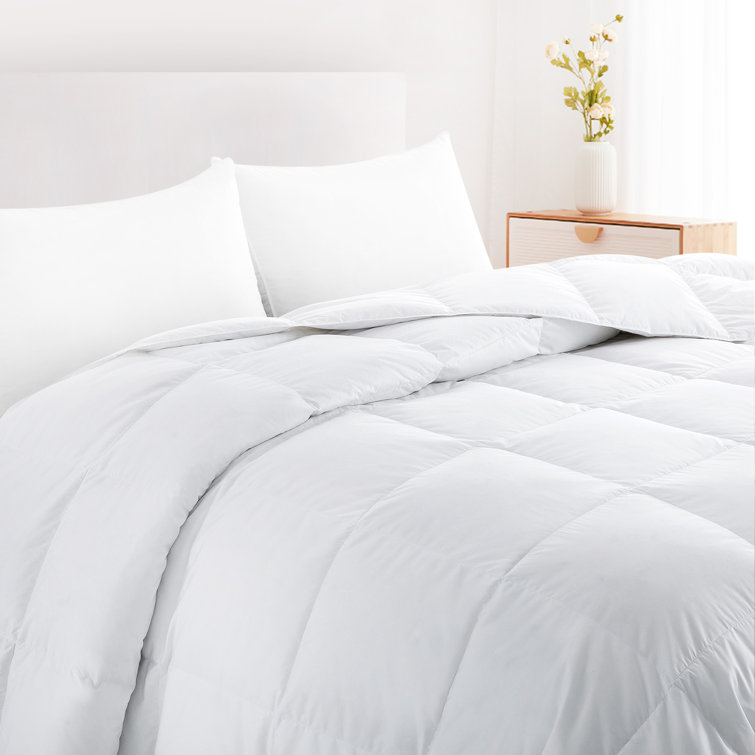 Alwyn Home Summer Duck Down Comforter & Reviews Wayfair